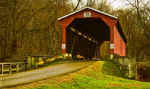 20061130FairHill004.jpg (78885 bytes)