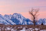 20070126_Tetons_0260