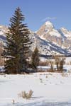 20070128_TetonsNP_0032